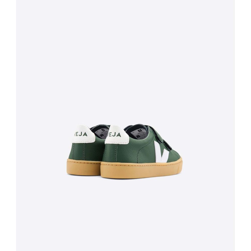 Veja ESPLAR LEATHER Kids' Sneakers Olive | CA 828JPQ